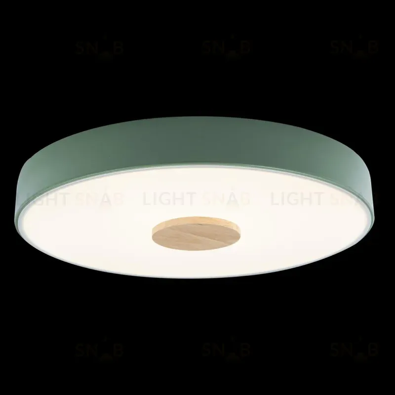 Потолочный светильник Loft IT AXEL 10003/24 Green 10003/24 Green