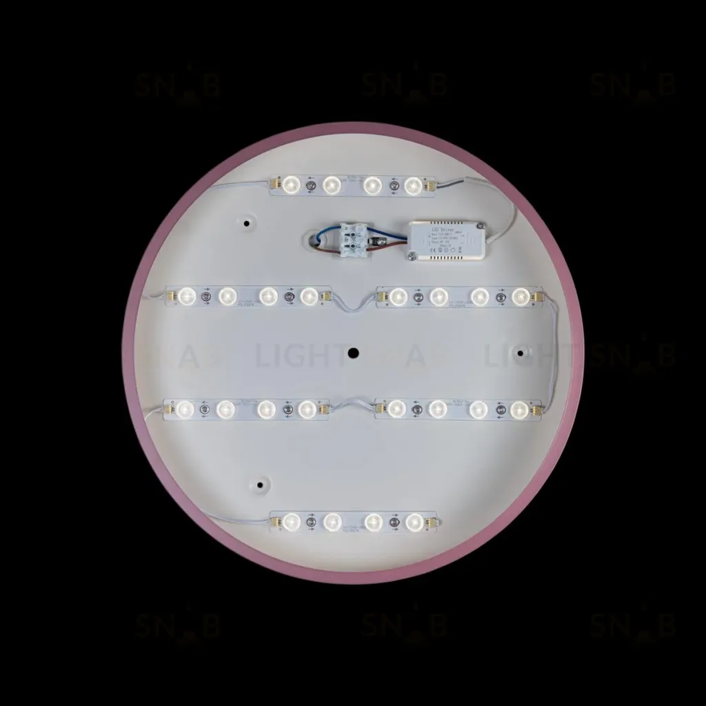 Потолочный светильник Loft IT AXEL 10003/24 Pink 10003/24 Pink