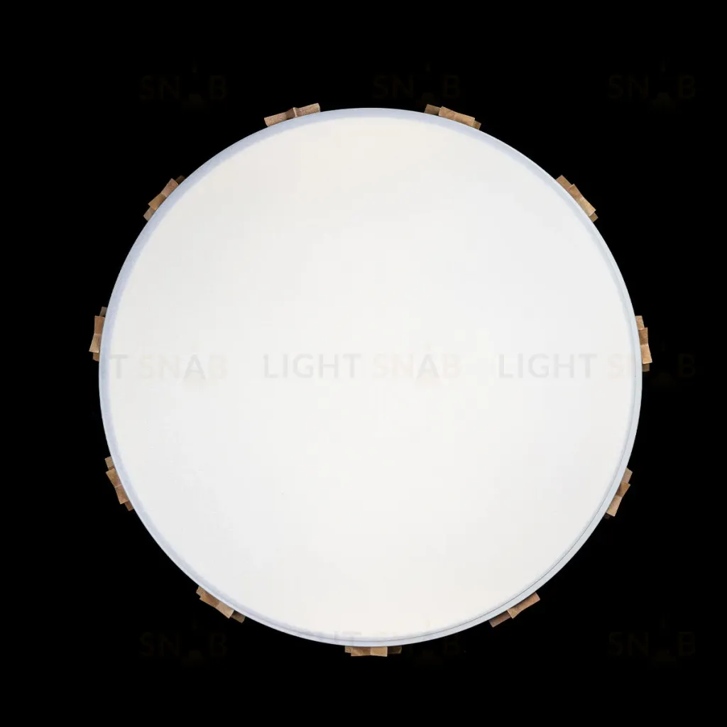Потолочный светильник Loft IT AXEL 10006/36 White 10006/36 White