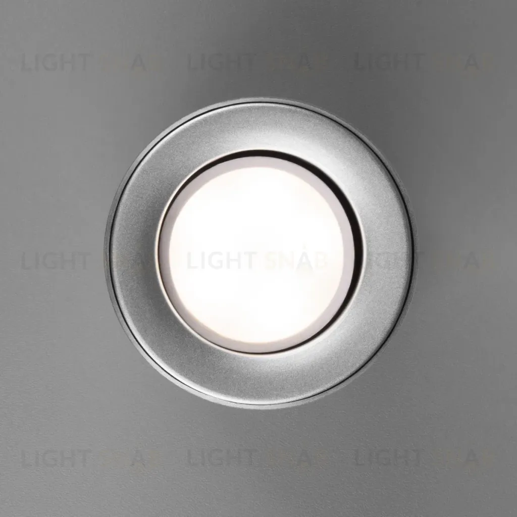 Потолочный светильник Elektrostandard Ogma DLN116 GU10 серебро 4690389153341 4690389153341