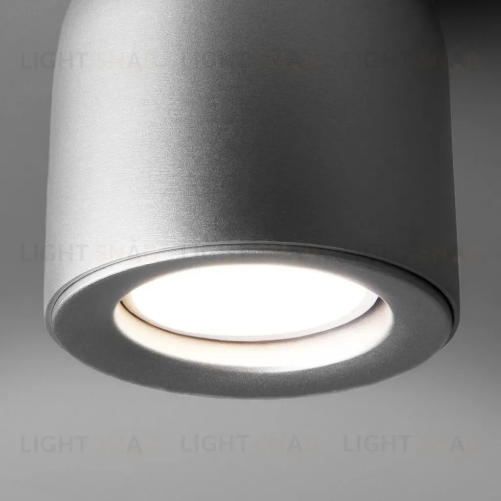 Потолочный светильник Elektrostandard Ogma DLN116 GU10 серебро 4690389153341 4690389153341