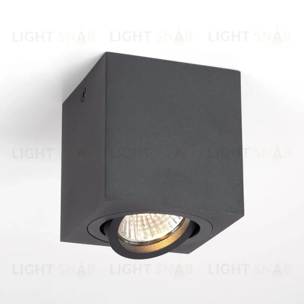 Накладной светильник Citilux Дюрен CL538213 CL538213