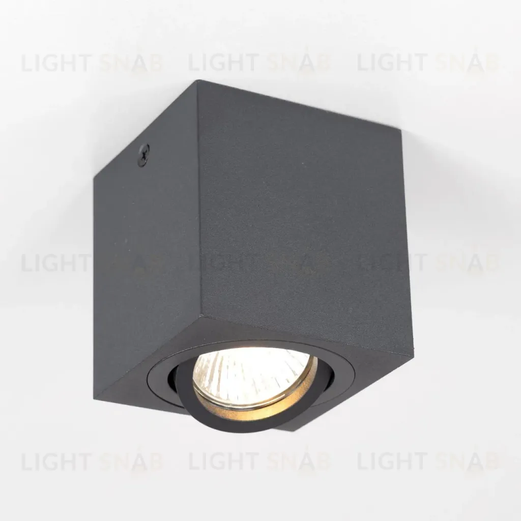 Накладной светильник Citilux Дюрен CL538213 CL538213