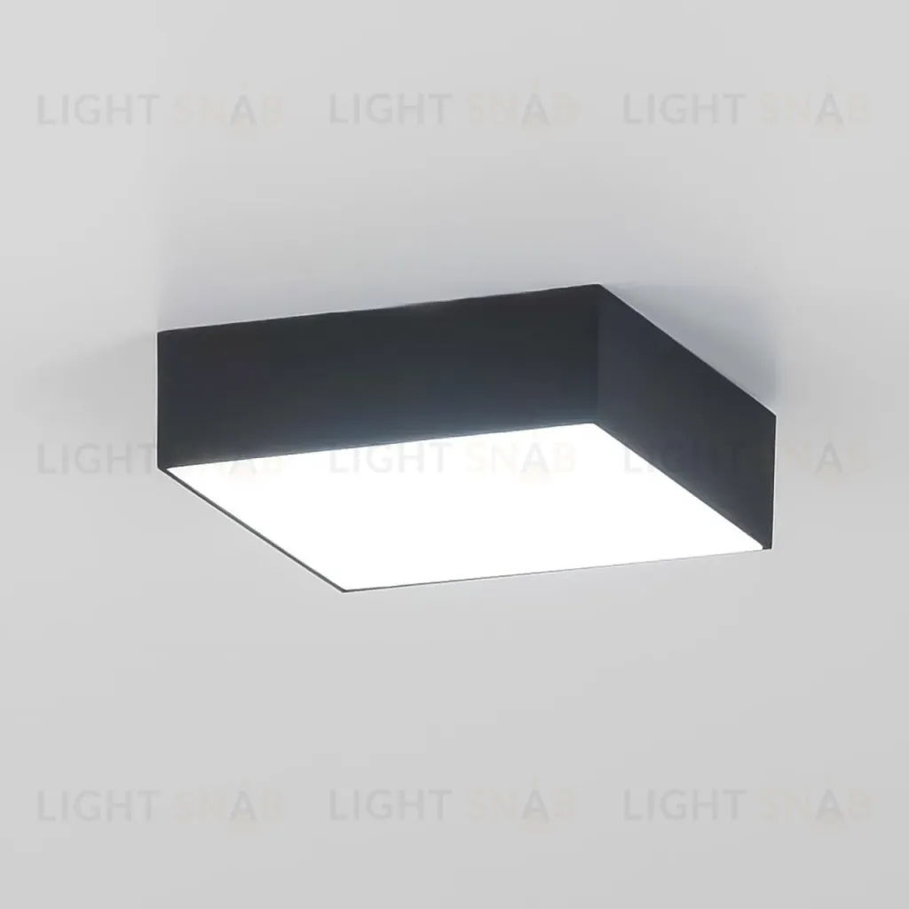 Накладной светильник Citilux Тао CL712X122N CL712X122N