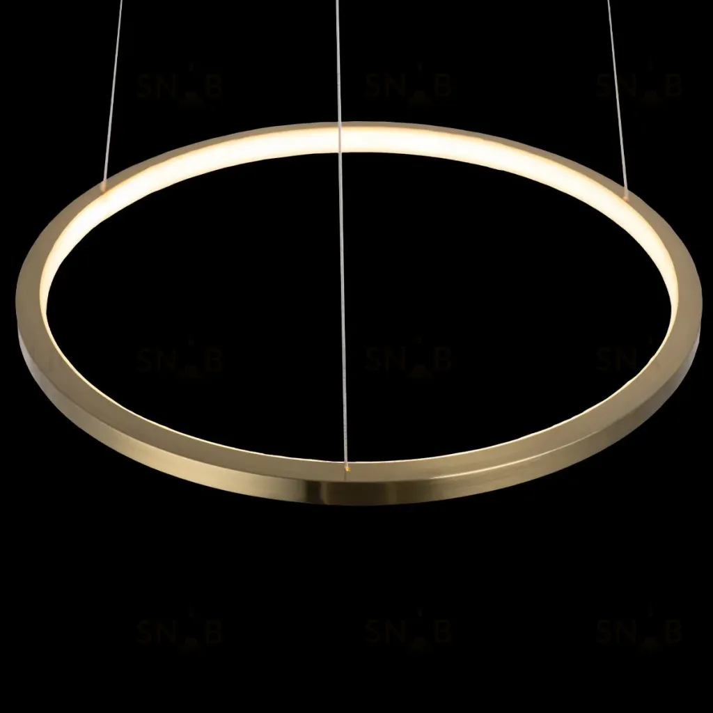 Подвесной светодиодный светильник Loft IT Ring 10014S 10014S