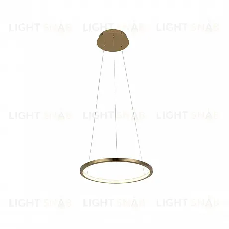Подвесной светодиодный светильник Loft IT Ring 10014S 10014S