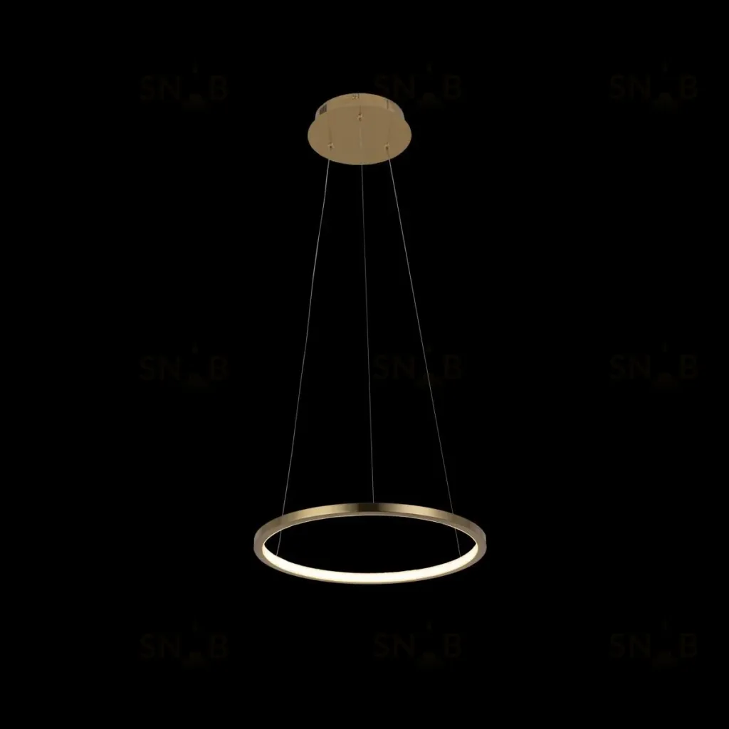 Подвесной светодиодный светильник Loft IT Ring 10014S 10014S
