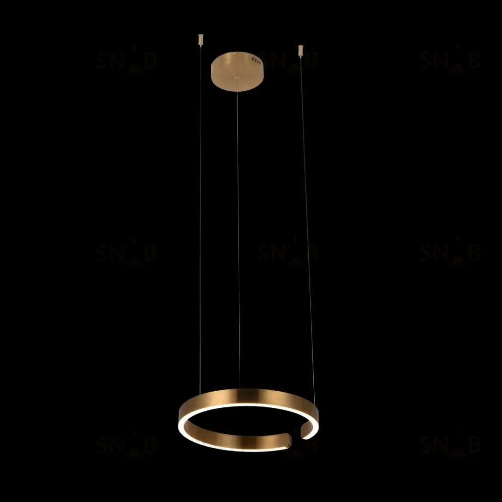 Подвесной светодиодный светильник Loft IT Ring 10013S 10013S