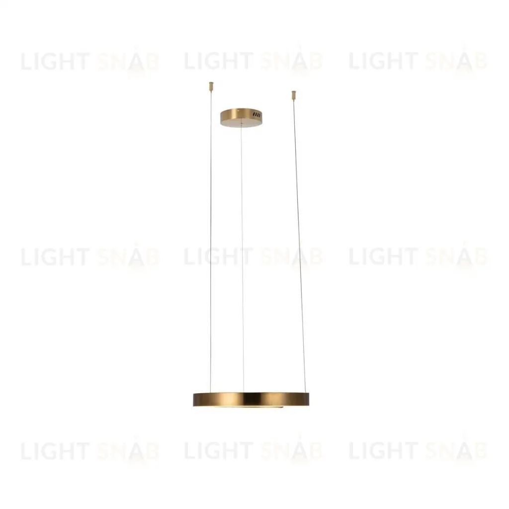 Подвесной светодиодный светильник Loft IT Ring 10013S 10013S
