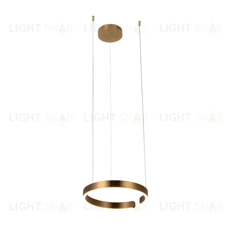 Подвесной светодиодный светильник Loft IT Ring 10013S 10013S