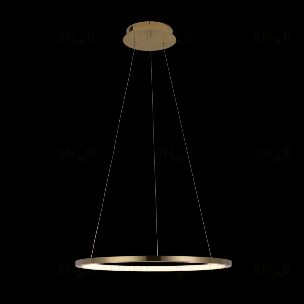 Подвесной светодиодный светильник Loft IT Ring 10014M 10014M