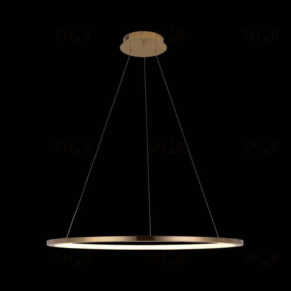 Подвесной светодиодный светильник Loft IT Ring 10014L 10014L