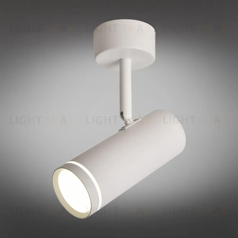 Спот Omnilux Deruta OML-102219-12 OML-102219-12