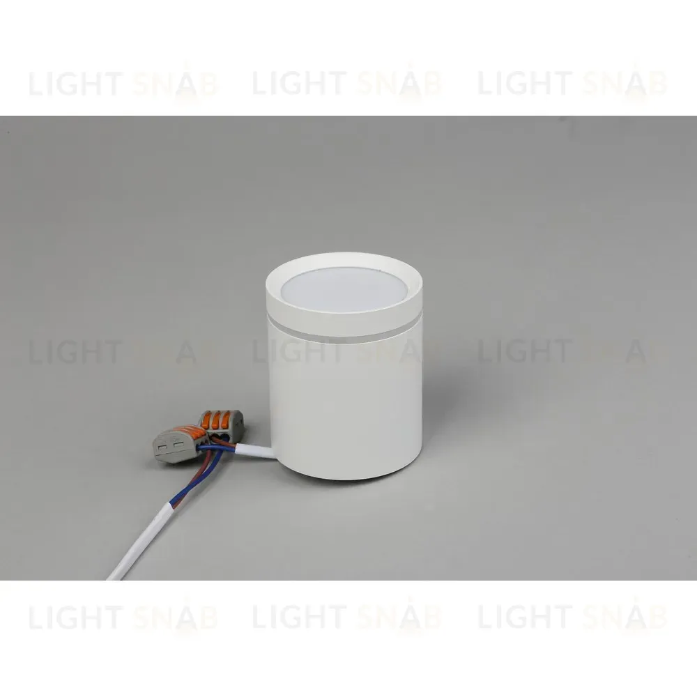 Накладной светильник Omnilux Capurso OML-102409-05 OML-102409-05