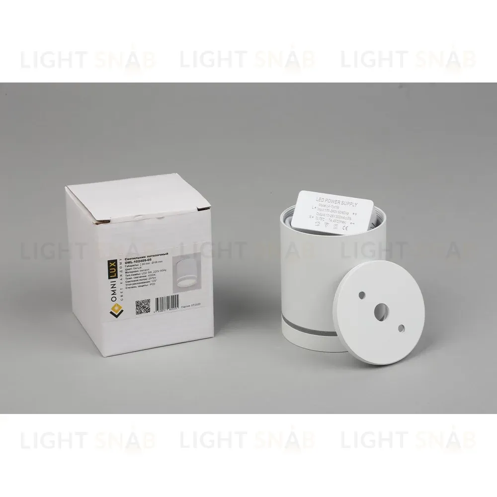 Накладной светильник Omnilux Capurso OML-102409-05 OML-102409-05