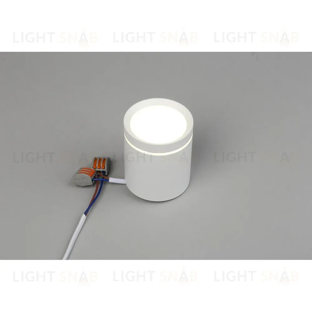 Накладной светильник Omnilux Capurso OML-102409-05 OML-102409-05