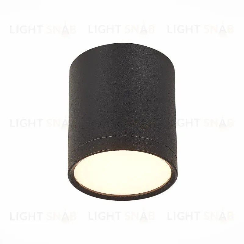 Потолочный светильник ST Luce Rene ST113.432.05 ST113.432.05