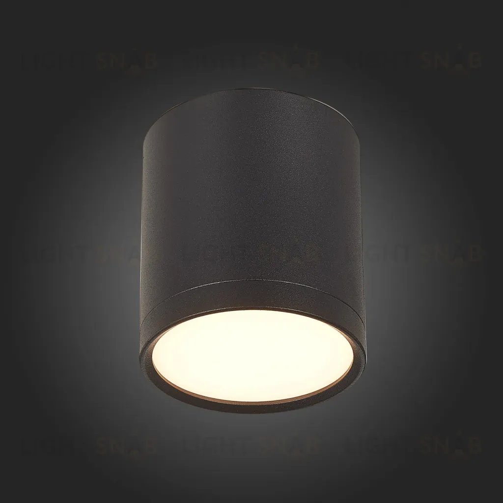 Потолочный светильник ST Luce Rene ST113.432.05 ST113.432.05
