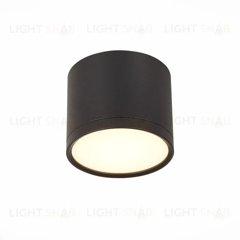 Потолочный светильник ST Luce Rene ST113.432.09 ST113.432.09