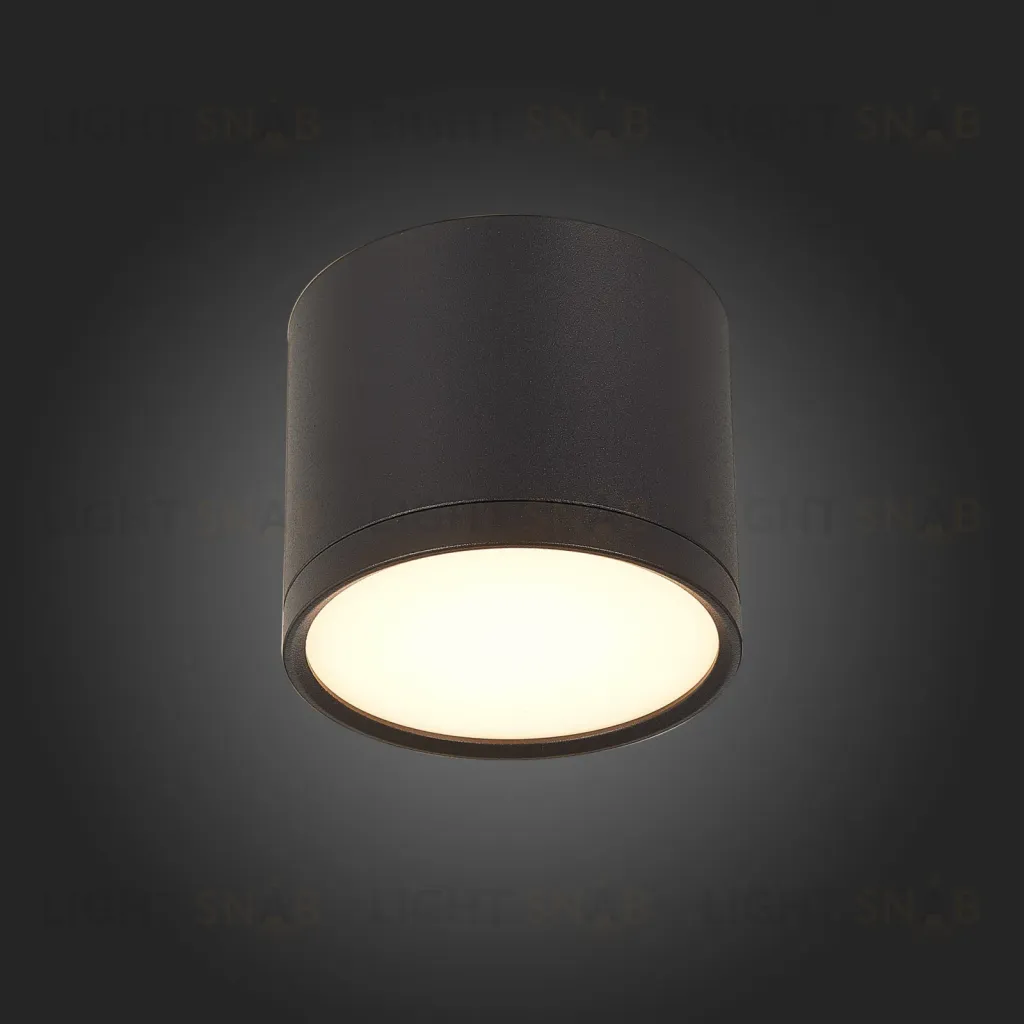 Потолочный светильник ST Luce Rene ST113.432.09 ST113.432.09