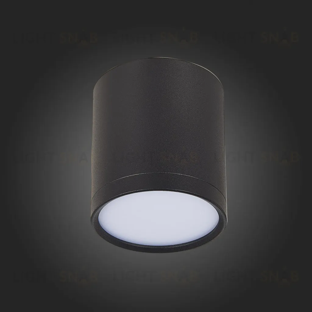 Потолочный светильник ST Luce Rene ST113.442.05 ST113.442.05