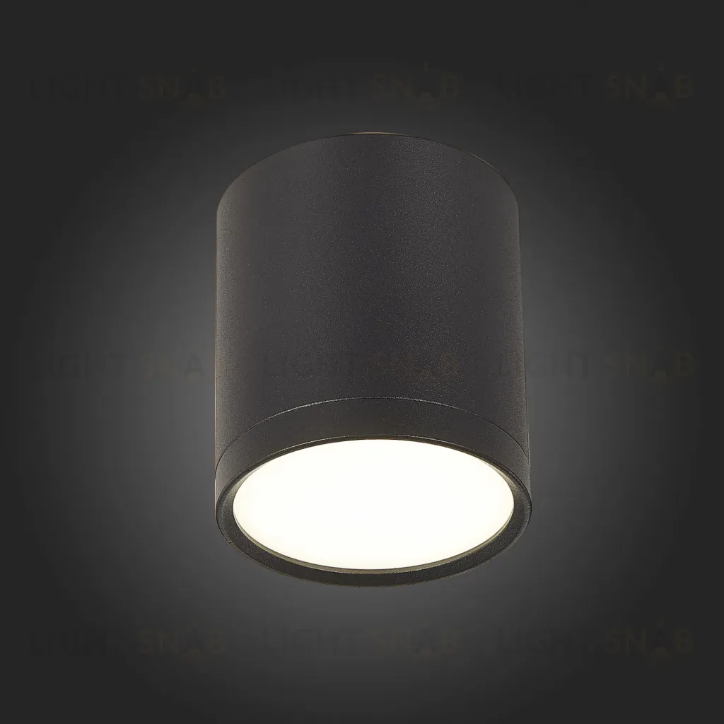 Потолочный светильник ST Luce Rene ST113.442.05 ST113.442.05