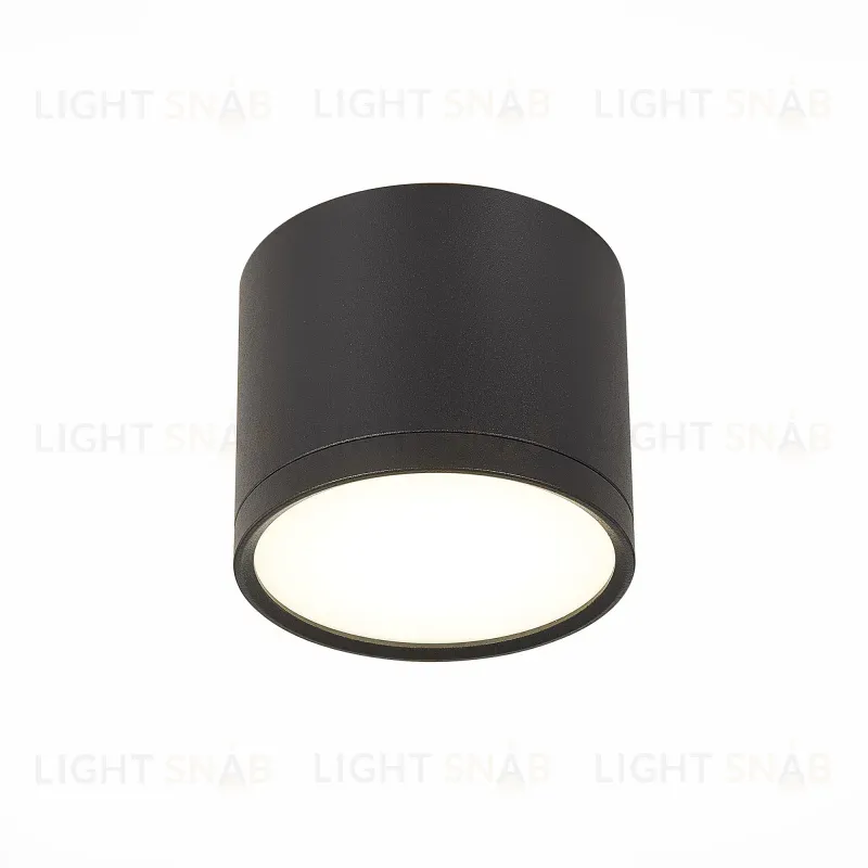 Потолочный светильник ST Luce Rene ST113.442.09 ST113.442.09