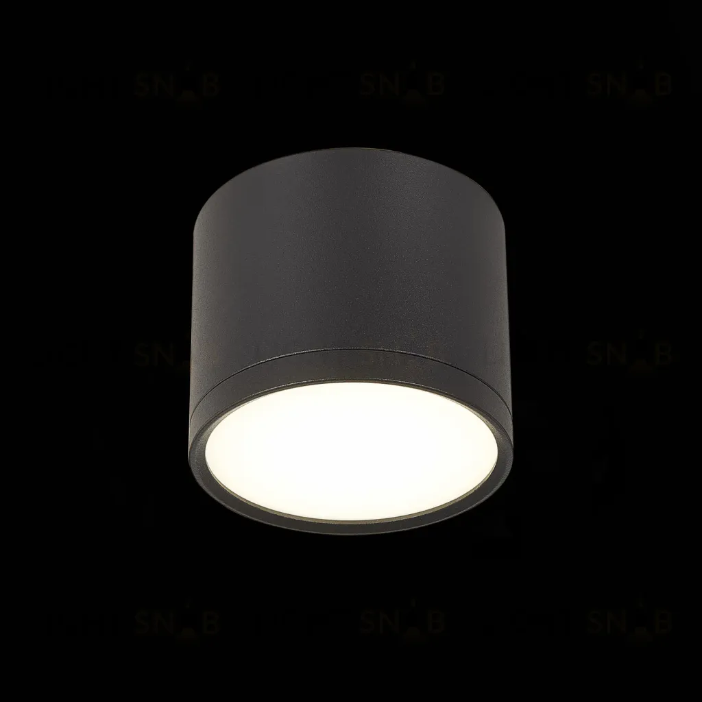 Потолочный светильник ST Luce Rene ST113.442.09 ST113.442.09