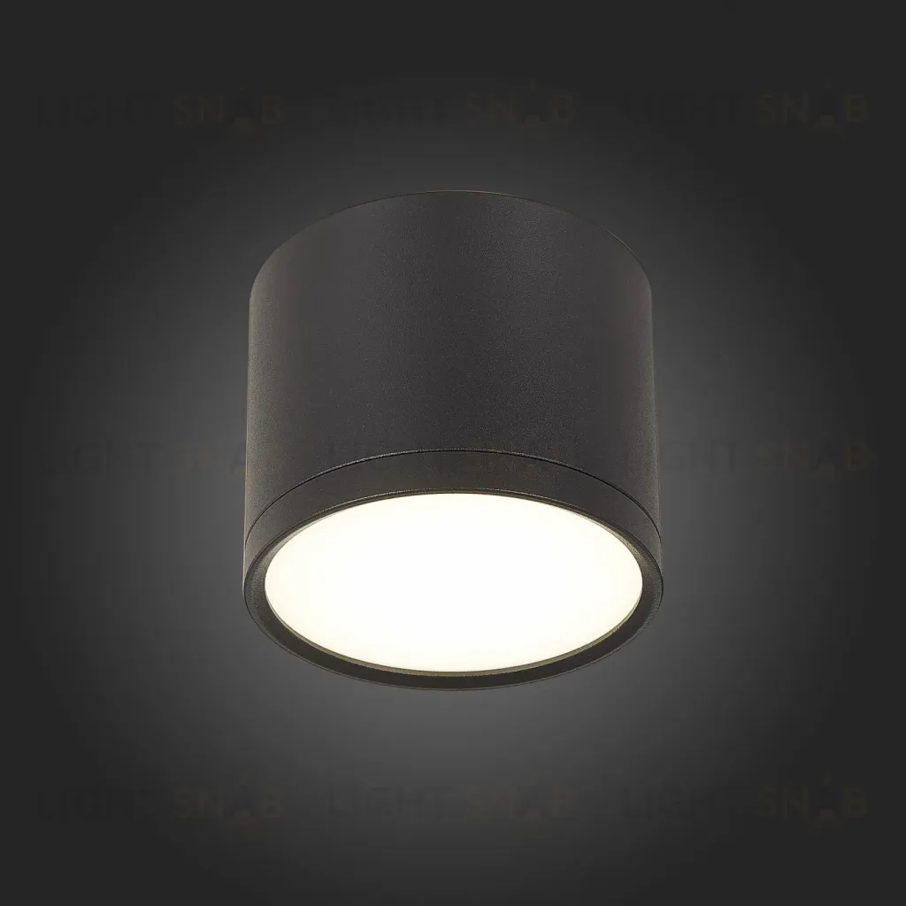 Потолочный светильник ST Luce Rene ST113.442.09 ST113.442.09