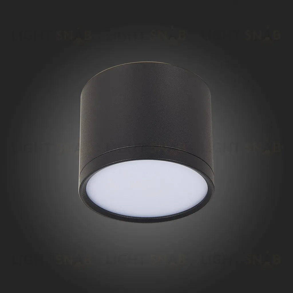 Потолочный светильник ST Luce Rene ST113.442.09 ST113.442.09