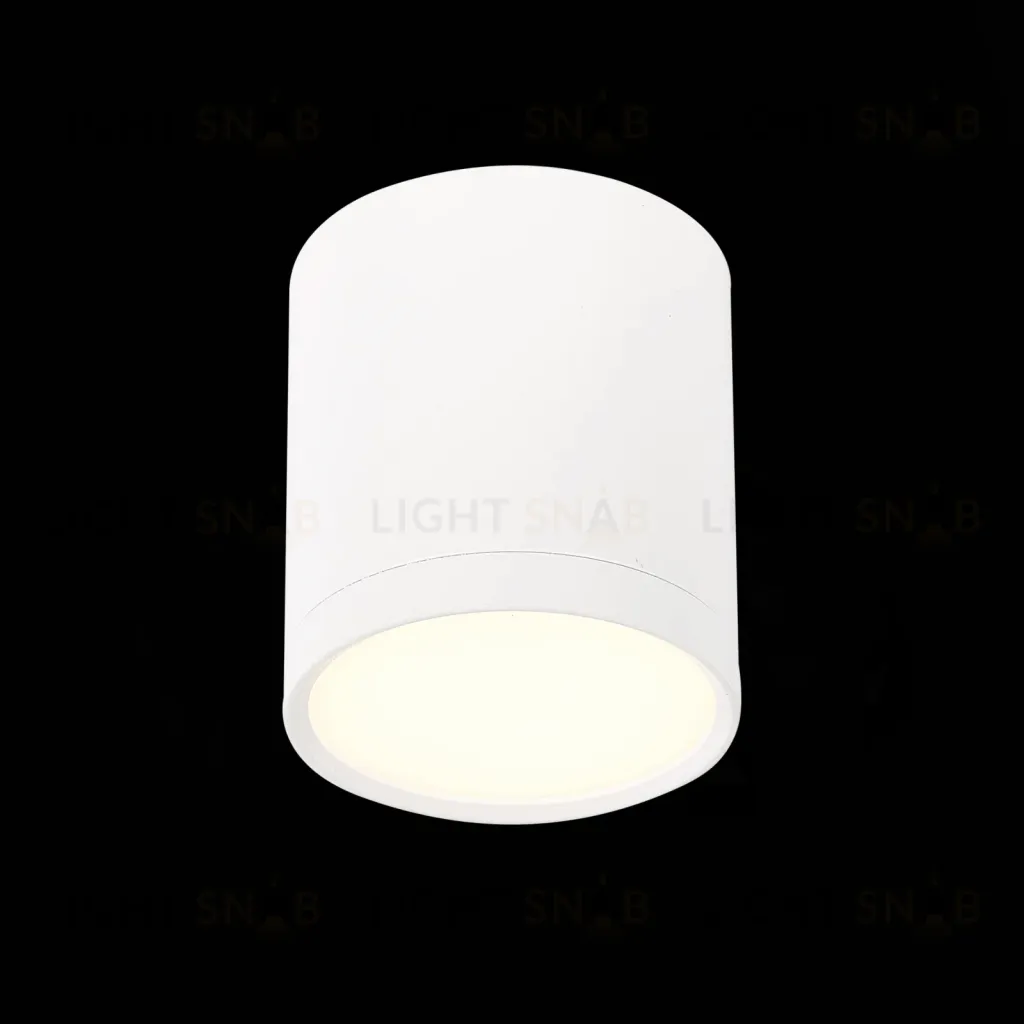 Потолочный светильник ST Luce Rene ST113.532.05 ST113.532.05