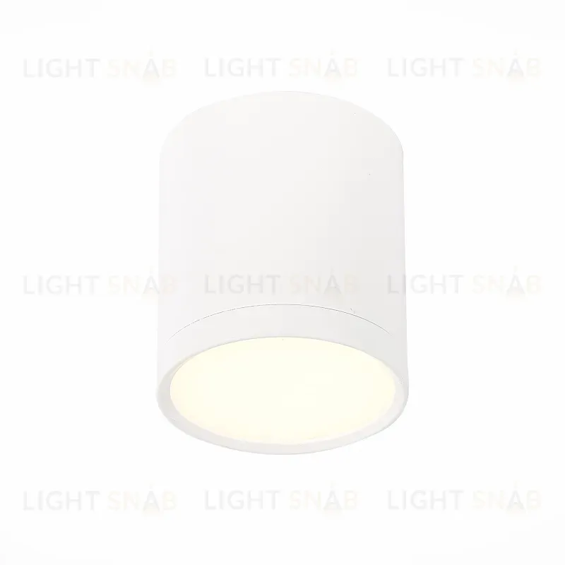 Потолочный светильник ST Luce Rene ST113.532.05 ST113.532.05