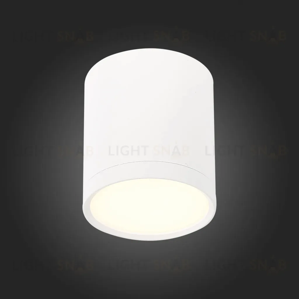 Потолочный светильник ST Luce Rene ST113.532.05 ST113.532.05