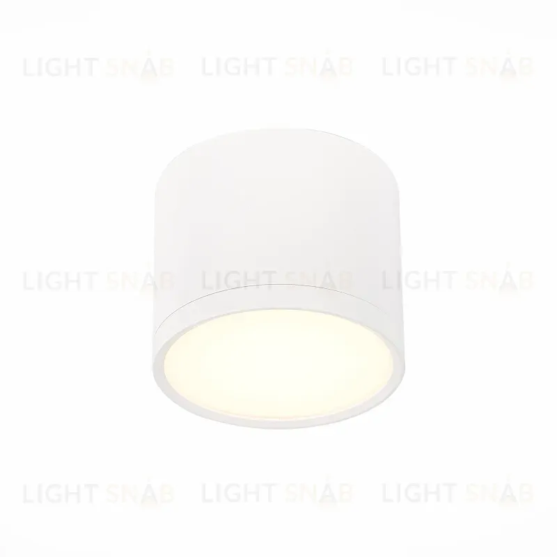 Потолочный светильник ST Luce Rene ST113.532.09 ST113.532.09