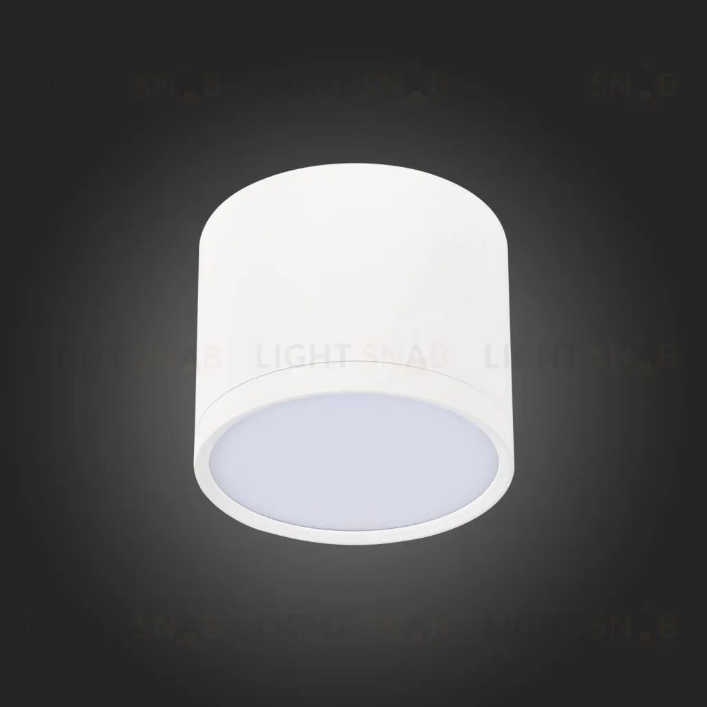 Потолочный светильник ST Luce Rene ST113.532.09 ST113.532.09