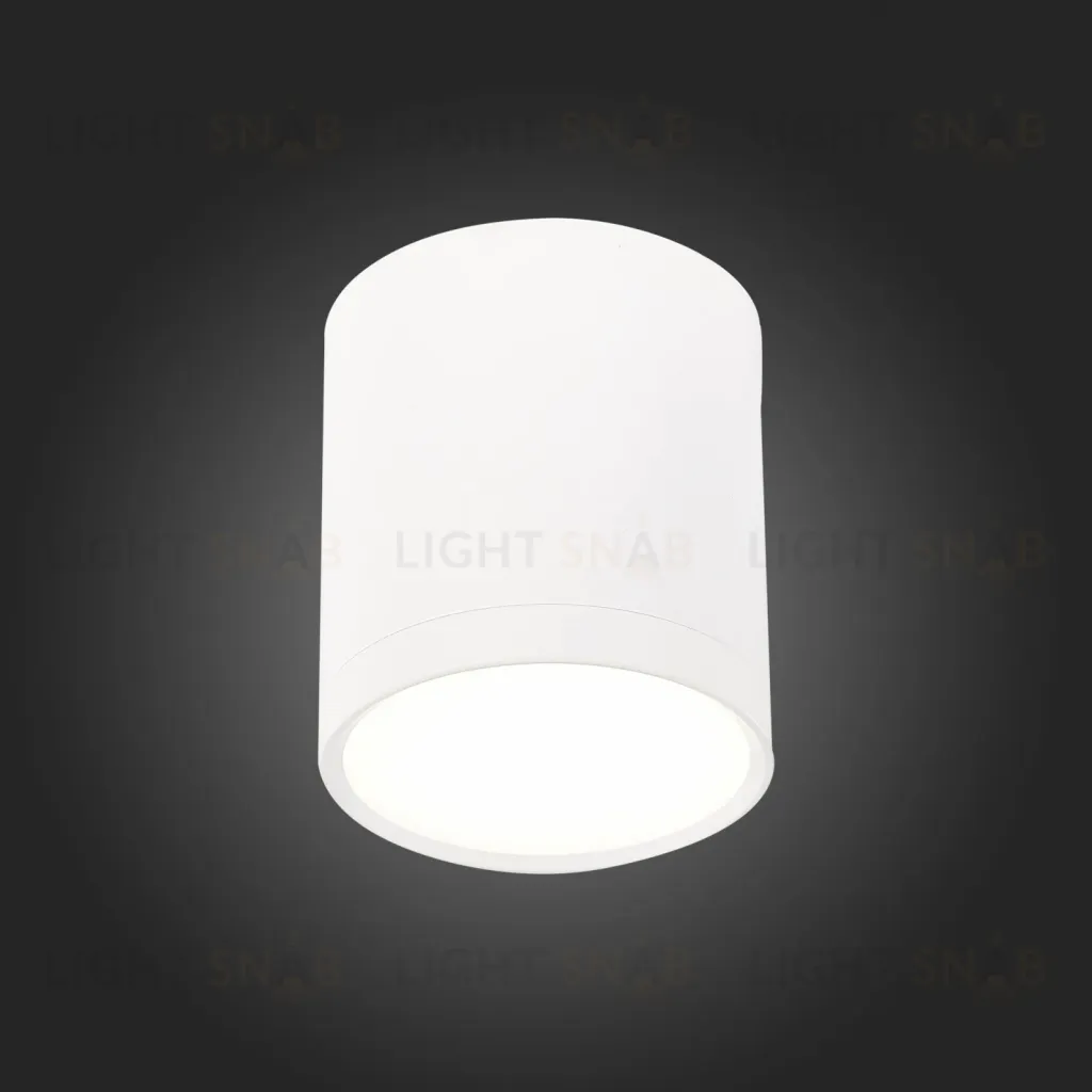 Потолочный светильник ST Luce Rene ST113.542.05 ST113.542.05
