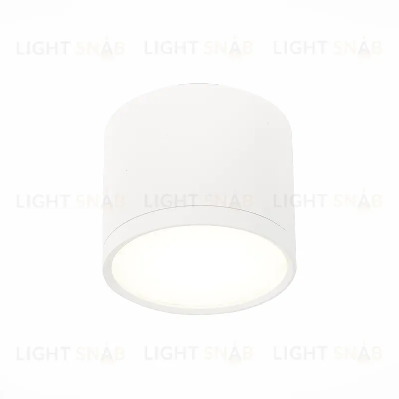 Потолочный светильник ST Luce Rene ST113.542.09 ST113.542.09