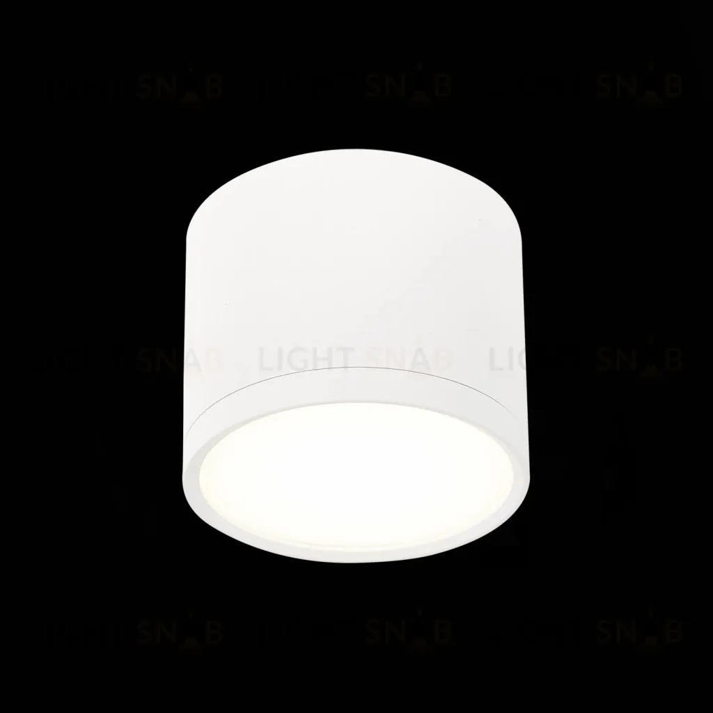 Потолочный светильник ST Luce Rene ST113.542.09 ST113.542.09