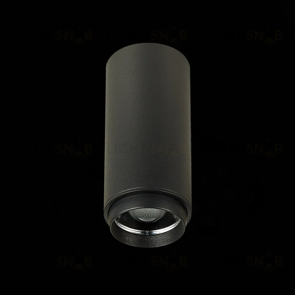 Потолочный светильник ST Luce Zoom ST600.442.10 ST600.442.10