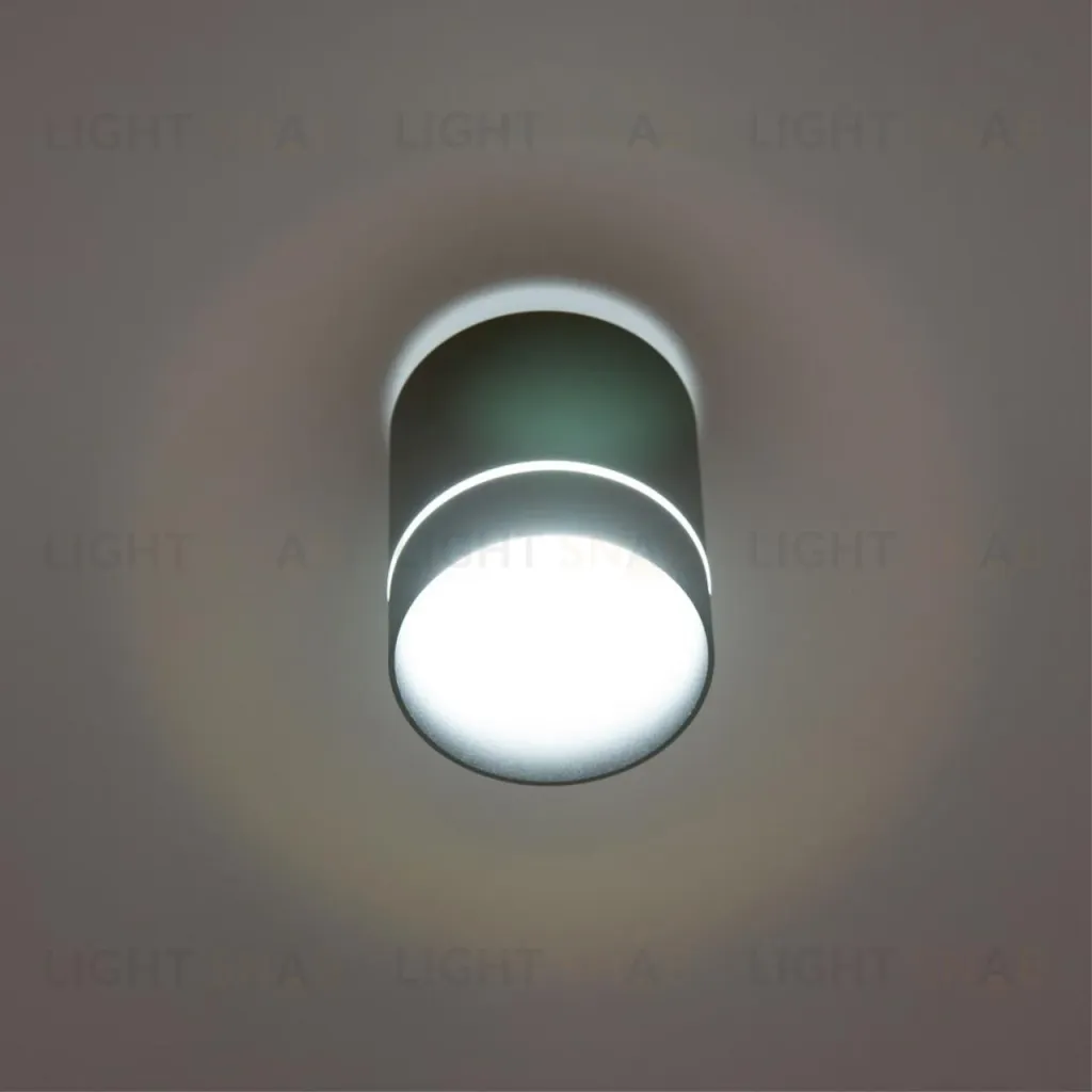 Накладной светильник Citilux Борн CL745011N CL745011N