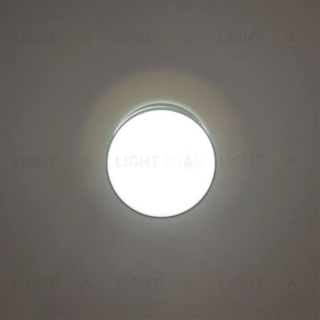 Накладной светильник Citilux Борн CL745011N CL745011N