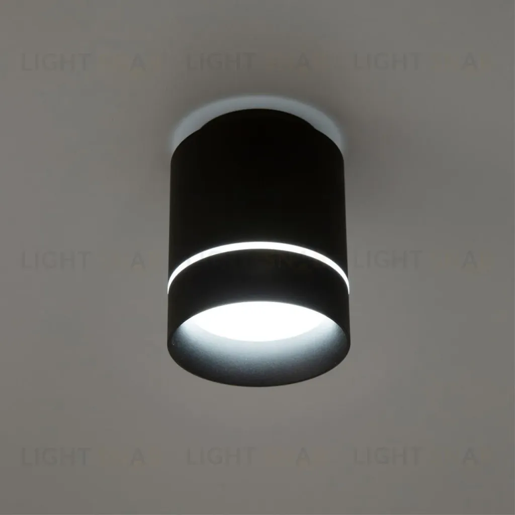 Накладной светильник Citilux Борн CL745011N CL745011N
