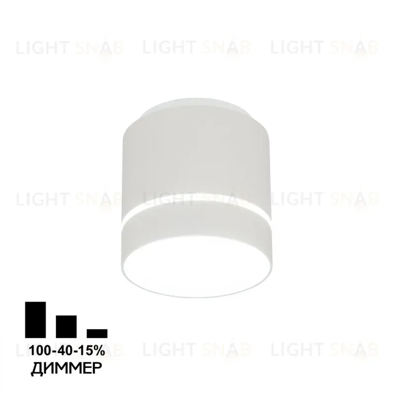 Накладной светильник Citilux Борн CL745010N CL745010N