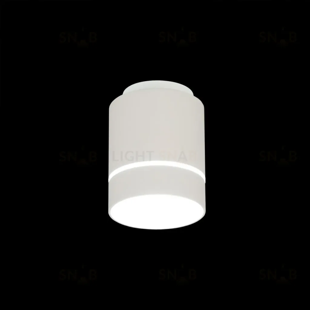 Накладной светильник Citilux Борн CL745010N CL745010N