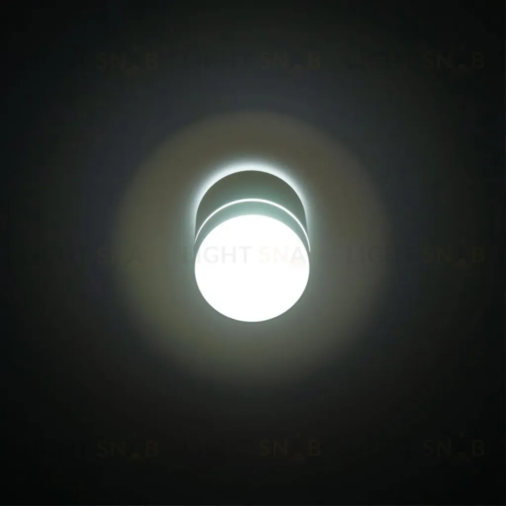 Накладной светильник Citilux Борн CL745010N CL745010N