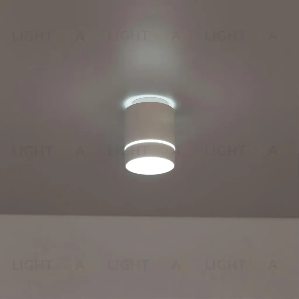 Накладной светильник Citilux Борн CL745010N CL745010N