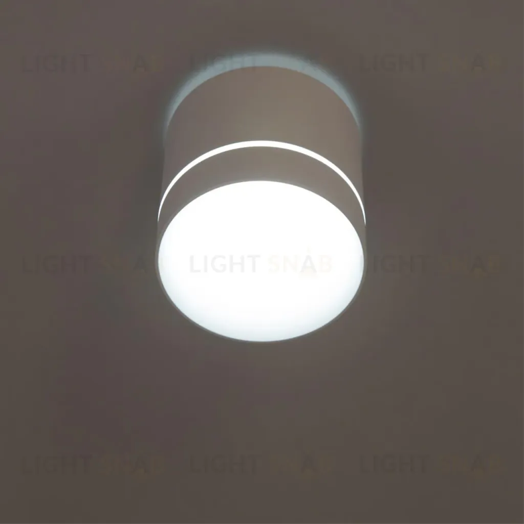 Накладной светильник Citilux Борн CL745020N CL745020N
