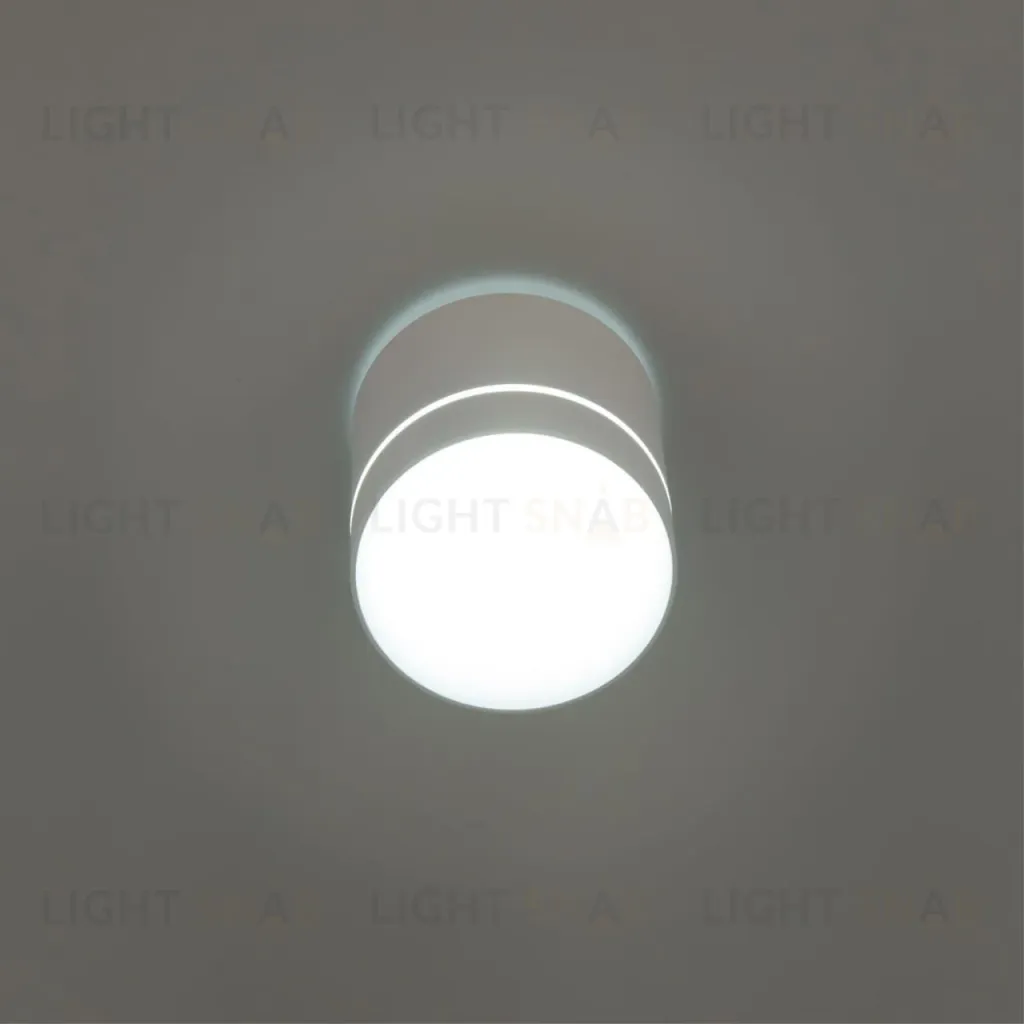Накладной светильник Citilux Борн CL745020N CL745020N