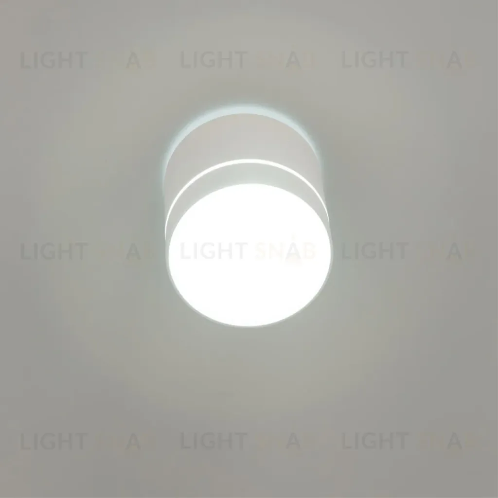 Накладной светильник Citilux Борн CL745020N CL745020N