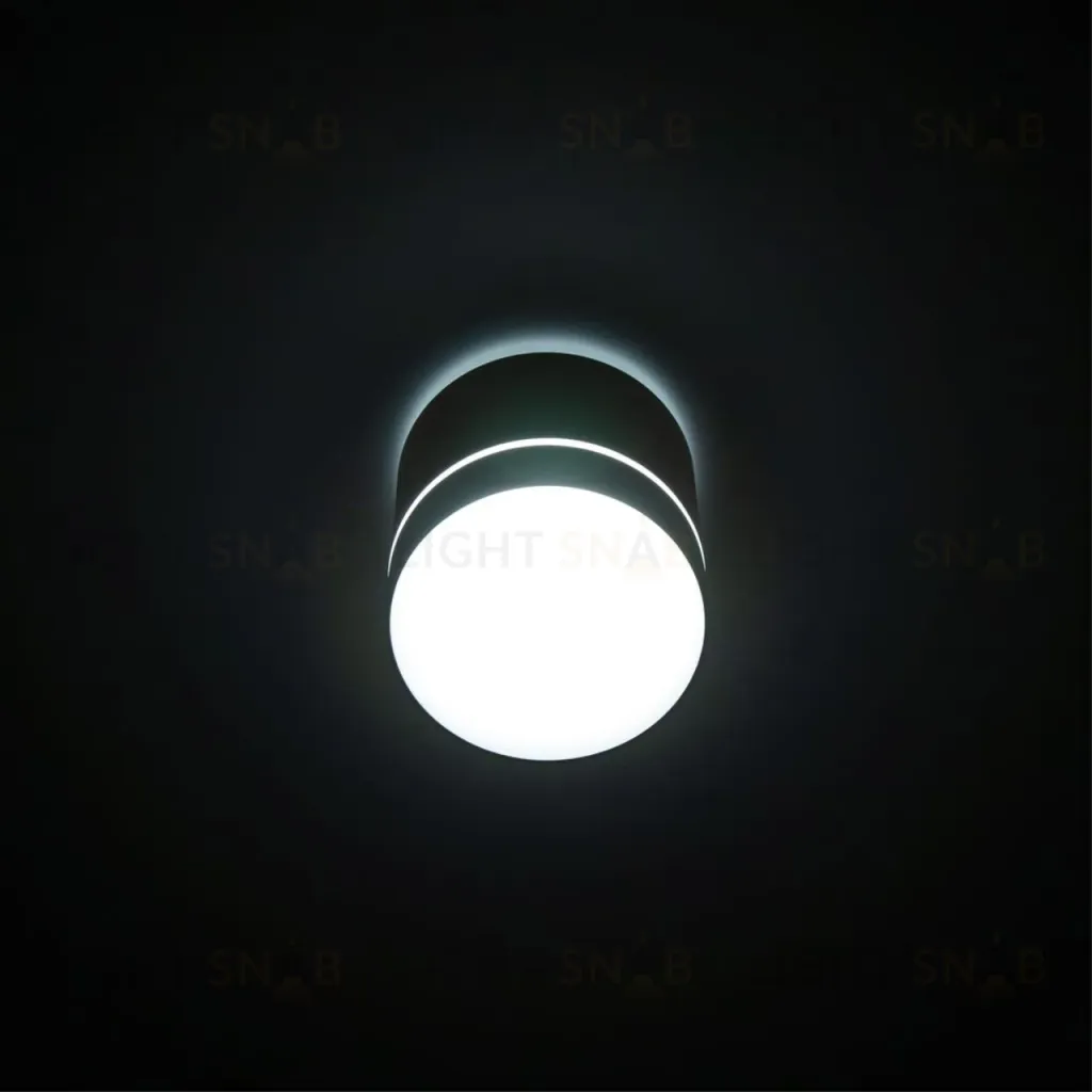 Накладной светильник Citilux Борн CL745020N CL745020N